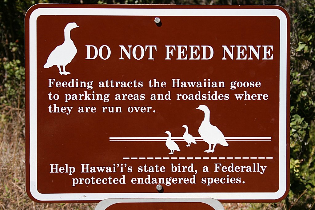 Do Not Feed!